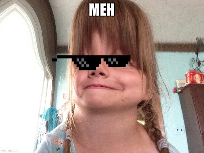 Meh I'm cool | MEH | image tagged in oh wow are you actually reading these tags | made w/ Imgflip meme maker