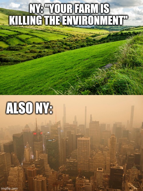 NY: "YOUR FARM IS KILLING THE ENVIRONMENT"; ALSO NY: | image tagged in funny memes | made w/ Imgflip meme maker
