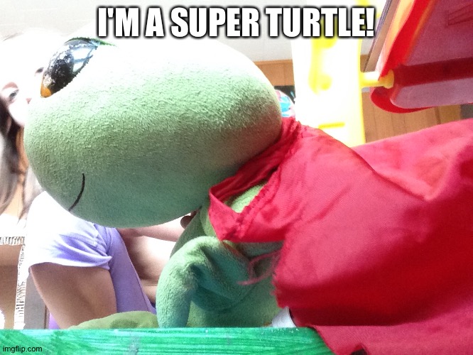 Super turtle | I'M A SUPER TURTLE! | image tagged in turtle | made w/ Imgflip meme maker