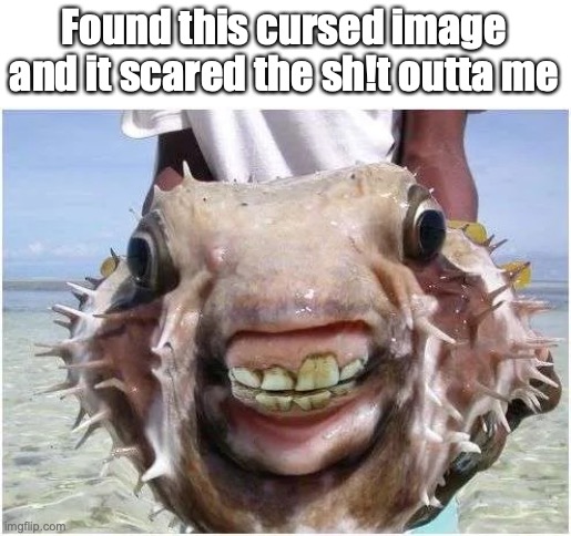 im still terrified | Found this cursed image and it scared the sh!t outta me | image tagged in freaky boi | made w/ Imgflip meme maker