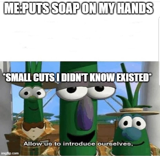 Allow us to introduce ourselves | ME:PUTS SOAP ON MY HANDS; *SMALL CUTS I DIDN'T KNOW EXISTED* | image tagged in allow us to introduce ourselves | made w/ Imgflip meme maker