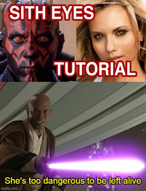 She's too dangerous to be left alive | image tagged in he's too dangerous to be left alive,sith lord,memes | made w/ Imgflip meme maker