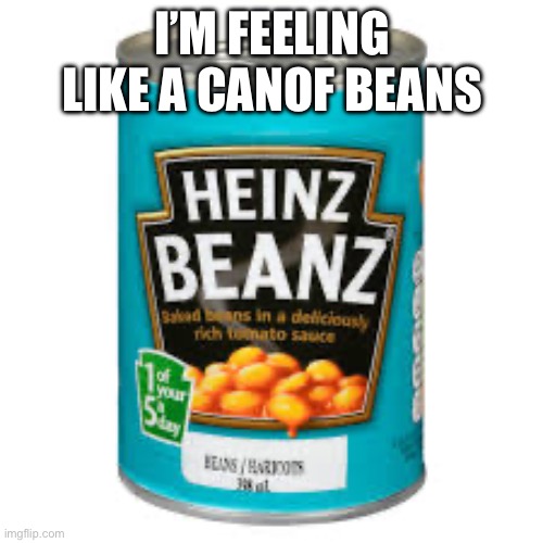 I’M FEELING LIKE A CANOF BEANS | made w/ Imgflip meme maker