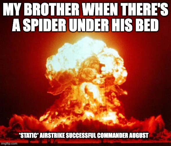 this is legit him | MY BROTHER WHEN THERE'S A SPIDER UNDER HIS BED; *STATIC* AIRSTRIKE SUCCESSFUL COMMANDER AUGUST | image tagged in nuke | made w/ Imgflip meme maker