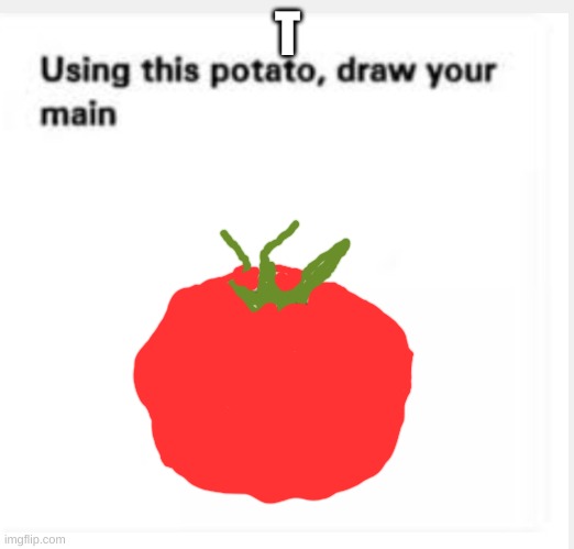 Using this potato draw your main | T | image tagged in using this potato draw your main | made w/ Imgflip meme maker