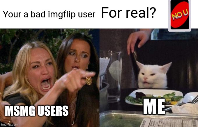 Let's stop cyber bullying together! | For real? Your a bad imgflip user; ME; MSMG USERS | image tagged in memes,woman yelling at cat | made w/ Imgflip meme maker