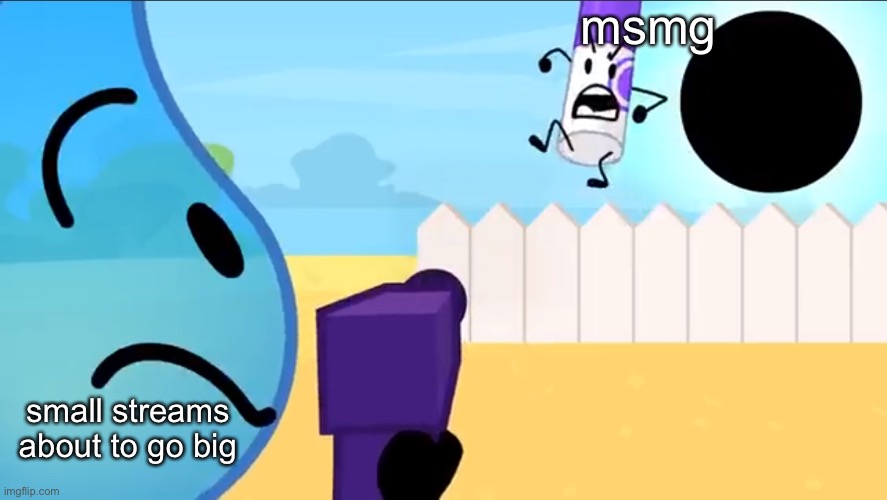 in the good days | msmg; small streams about to go big | image tagged in bfdi tpot 2 meme template | made w/ Imgflip meme maker