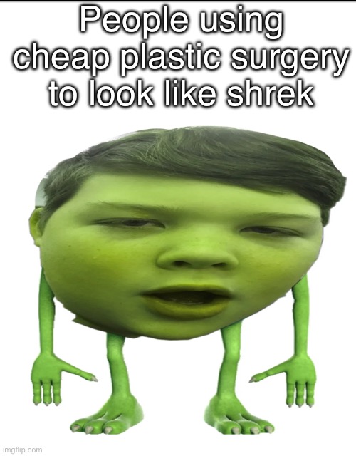 Imagine wanting to look like shrek | People using cheap plastic surgery to look like shrek | image tagged in mike shrek meme | made w/ Imgflip meme maker