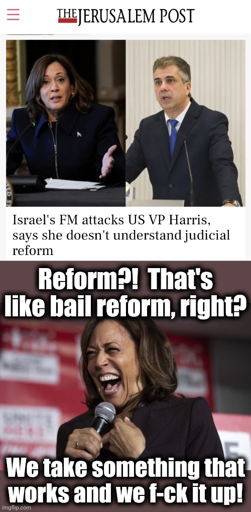 She doesn't understand how to work a hat | Reform?!  That's like bail reform, right? We take something that works and we f-ck it up! | image tagged in kamala laughing,reform,incompetence,democrats,israelis,joe biden | made w/ Imgflip meme maker
