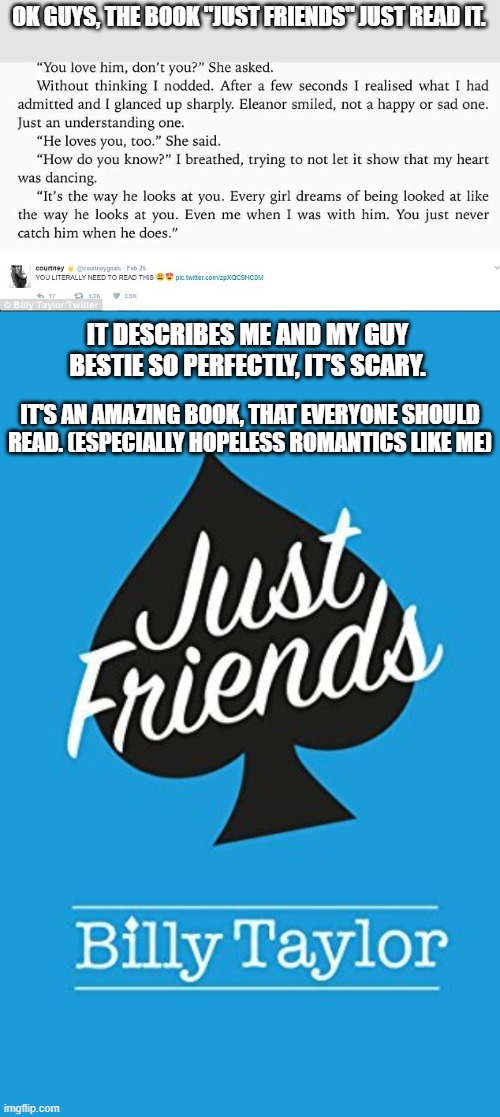 OK GUYS, THE BOOK "JUST FRIENDS" JUST READ IT. IT DESCRIBES ME AND MY GUY BESTIE SO PERFECTLY, IT'S SCARY. IT'S AN AMAZING BOOK, THAT EVERYONE SHOULD READ. (ESPECIALLY HOPELESS ROMANTICS LIKE ME) | image tagged in memes,so true memes,still a better love story than twilight | made w/ Imgflip meme maker