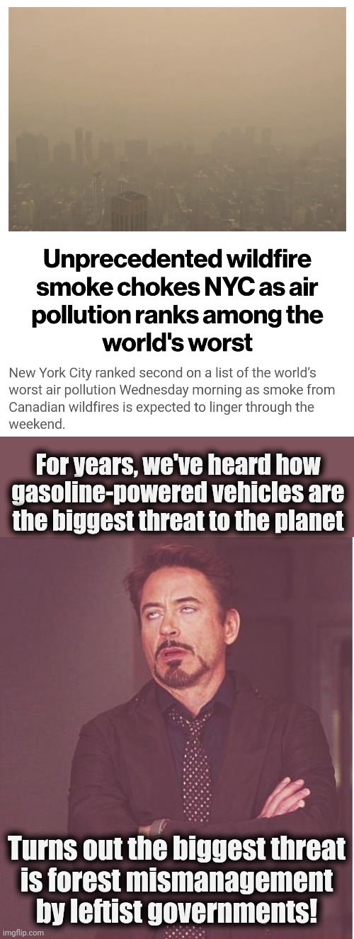 Same with California | For years, we've heard how gasoline-powered vehicles are the biggest threat to the planet; Turns out the biggest threat
is forest mismanagement by leftist governments! | image tagged in memes,face you make robert downey jr,air pollution,democrats,justin trudeau,new york city | made w/ Imgflip meme maker