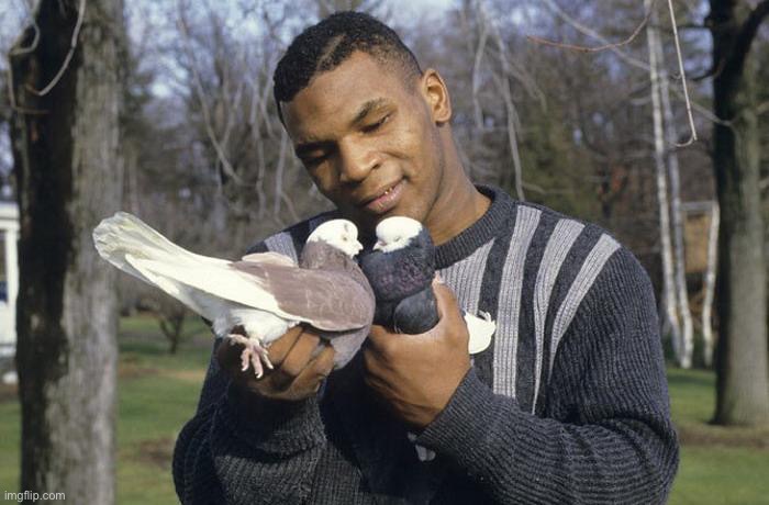 Mike Tyson | image tagged in mike tyson | made w/ Imgflip meme maker