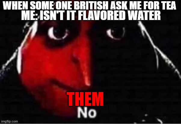 Gru No | WHEN SOME ONE BRITISH ASK ME FOR TEA; ME: ISN'T IT FLAVORED WATER; THEM | image tagged in gru no | made w/ Imgflip meme maker