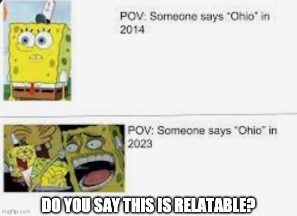 True ig ; Ohio meme #6 | DO YOU SAY THIS IS RELATABLE? | image tagged in ohio,memes,funny,true,laughing,spongebob | made w/ Imgflip meme maker