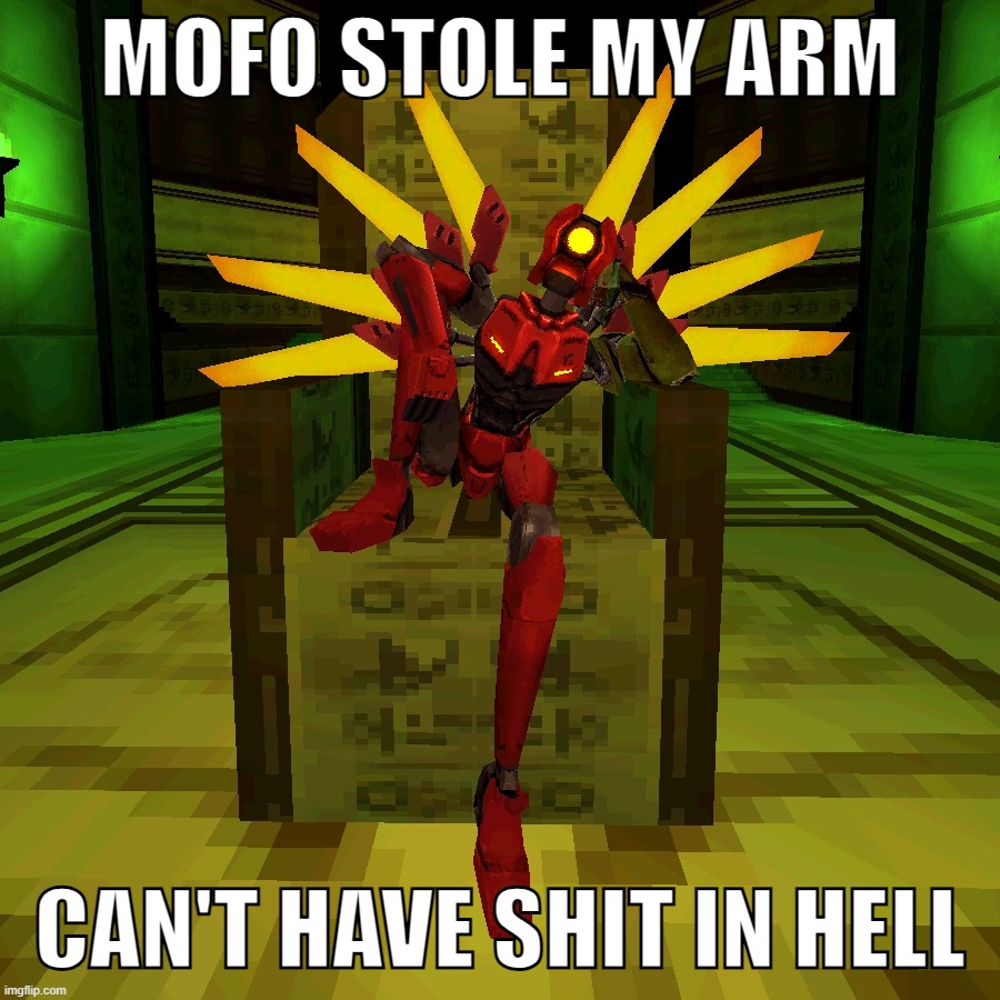 MOFO STOLE MY ARM; CAN'T HAVE SHIT IN HELL | made w/ Imgflip meme maker