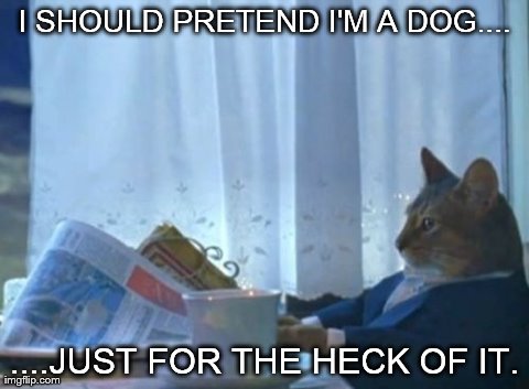I Should Buy A Boat Cat | I SHOULD PRETEND I'M A DOG.... ....JUST FOR THE HECK OF IT. | image tagged in memes,i should buy a boat cat | made w/ Imgflip meme maker
