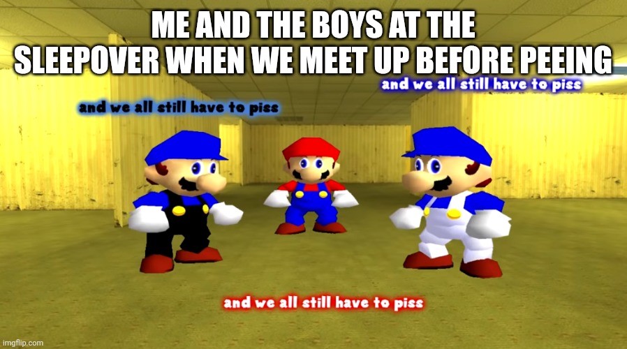 And we all still have to piss | ME AND THE BOYS AT THE SLEEPOVER WHEN WE MEET UP BEFORE PEEING | image tagged in and we all still have to piss | made w/ Imgflip meme maker