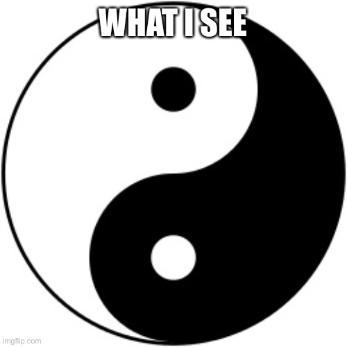 Yin Yang | WHAT I SEE | image tagged in yin yang | made w/ Imgflip meme maker
