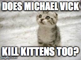 Sad Cat Meme | DOES MICHAEL VICK KILL KITTENS TOO? | image tagged in memes,sad cat | made w/ Imgflip meme maker
