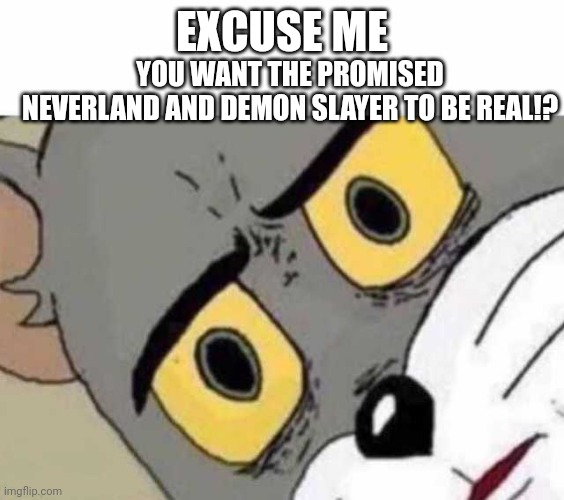 Tom Cat Unsettled Close up | EXCUSE ME YOU WANT THE PROMISED NEVERLAND AND DEMON SLAYER TO BE REAL!? | image tagged in tom cat unsettled close up | made w/ Imgflip meme maker