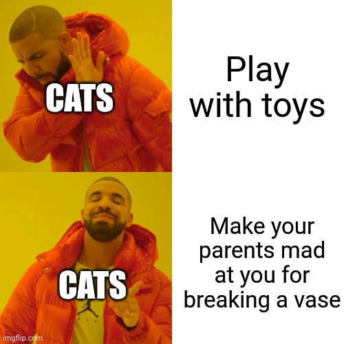 Drake Hotline Bling | Play with toys; CATS; Make your parents mad at you for breaking a vase; CATS | image tagged in memes,drake hotline bling | made w/ Imgflip meme maker