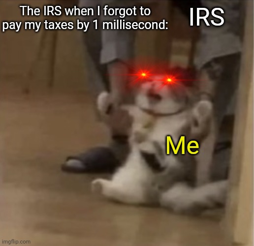 AAAAAAHHH | IRS; The IRS when I forgot to pay my taxes by 1 millisecond:; Me | image tagged in angry cat being dragged away | made w/ Imgflip meme maker
