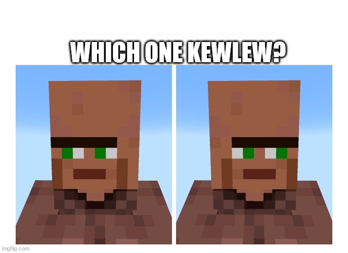 Villager looking right and left | WHICH ONE KEWLEW? | image tagged in villager looking right and left | made w/ Imgflip meme maker