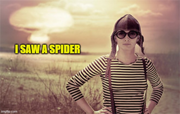 woman nuclear blast explosion disaster girl grown up | I SAW A SPIDER | image tagged in woman nuclear blast explosion disaster girl grown up | made w/ Imgflip meme maker