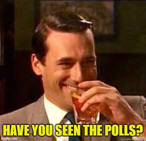 madmen | HAVE YOU SEEN THE POLLS? | image tagged in madmen | made w/ Imgflip meme maker