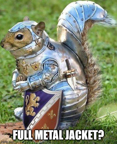 Armor squirrel | FULL METAL JACKET? | image tagged in armor squirrel | made w/ Imgflip meme maker