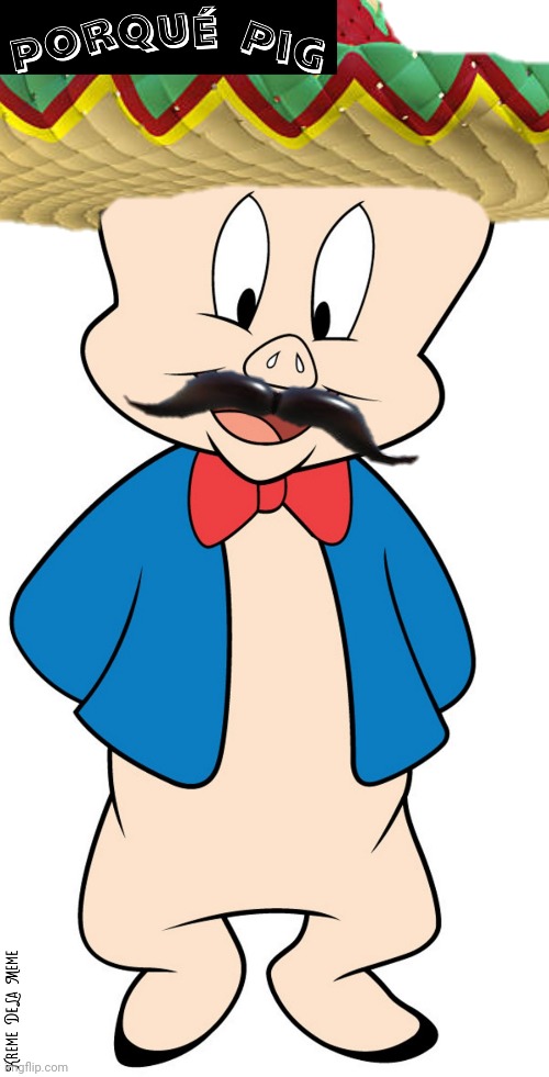 Porqué Pig | image tagged in porky pig,looney tunes,that's all folks,meme,porque | made w/ Imgflip meme maker