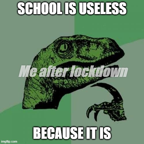 Is this NSFW? | SCHOOL IS USELESS; Me after lockdown; BECAUSE IT IS | image tagged in memes,philosoraptor | made w/ Imgflip meme maker