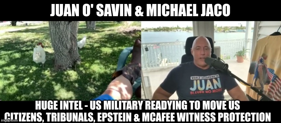 Juan O' Savin & Michael Jaco: Huge Intel - US Military Readying to Move US Citizens - Tribunals, Epstein & McAfee Witness Protection (Video) 