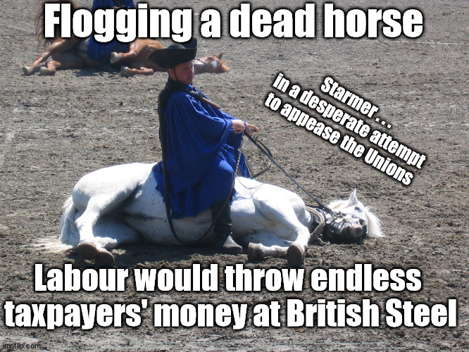Starmer/Labour - British steel - taxpayer's money | Flogging a dead horse; Starmer . . . 
in a desperate attempt to appease the Unions; Labour would throw endless 
taxpayers' money at British Steel; #Immigration #Starmerout #Labour #JonLansman #wearecorbyn #KeirStarmer #DianeAbbott #McDonnell #cultofcorbyn #labourisdead #Momentum #labourracism #socialistsunday #nevervotelabour #socialistanyday #Antisemitism #Savile #SavileGate #Paedo #Worboys #GroomingGangs #Paedophile #IllegalImmigration #Immigrants #Invasion #StarmerResign #Starmeriswrong #SirSoftie #SirSofty #PatCullen #Cullen #RCN #nurse #nursing #strikes #SueGray #Blair #Steroids #Economy #BritishSteel | image tagged in starmer dead horse,labourisdead,illegal immigration,starmerout getstarmerout,british steel unions,stop boats rwanda | made w/ Imgflip meme maker