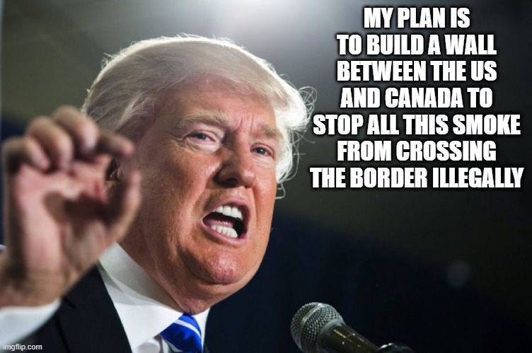 Stop the Smoke! | MY PLAN IS TO BUILD A WALL BETWEEN THE US AND CANADA TO STOP ALL THIS SMOKE FROM CROSSING THE BORDER ILLEGALLY | image tagged in donald trump | made w/ Imgflip meme maker