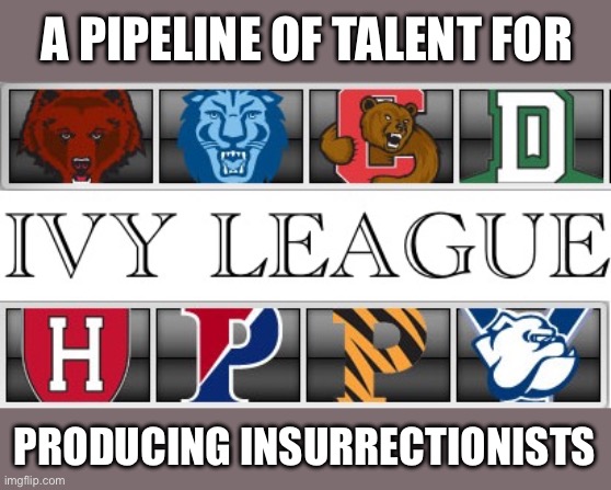 Ivy League | A PIPELINE OF TALENT FOR; PRODUCING INSURRECTIONISTS | image tagged in ivy league | made w/ Imgflip meme maker