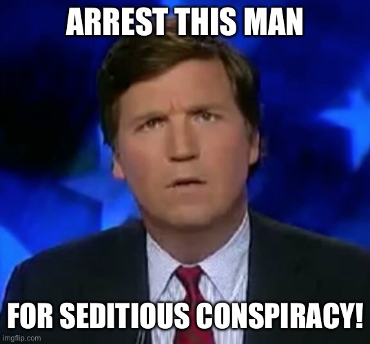 confused Tucker carlson | ARREST THIS MAN; FOR SEDITIOUS CONSPIRACY! | image tagged in confused tucker carlson | made w/ Imgflip meme maker