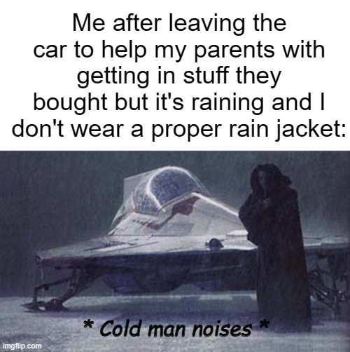 Obi wan in the rain | Me after leaving the car to help my parents with getting in stuff they bought but it's raining and I don't wear a proper rain jacket:; * Cold man noises * | image tagged in obi wan in the rain | made w/ Imgflip meme maker