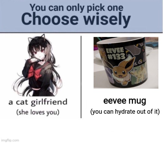 Choose wisely | eevee mug; (you can hydrate out of it) | image tagged in choose wisely | made w/ Imgflip meme maker