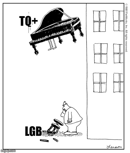 TQ+; LGB | image tagged in lgbtq,cartoon,funny | made w/ Imgflip meme maker