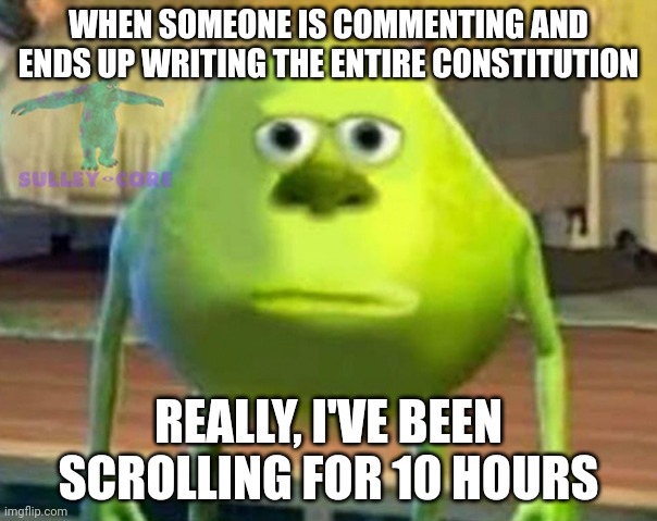 Monsters Inc | WHEN SOMEONE IS COMMENTING AND ENDS UP WRITING THE ENTIRE CONSTITUTION; REALLY, I'VE BEEN SCROLLING FOR 10 HOURS | image tagged in monsters inc | made w/ Imgflip meme maker