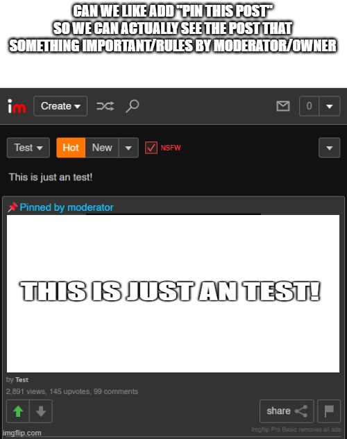 yet another idea | CAN WE LIKE ADD "PIN THIS POST" SO WE CAN ACTUALLY SEE THE POST THAT SOMETHING IMPORTANT/RULES BY MODERATOR/OWNER | made w/ Imgflip meme maker