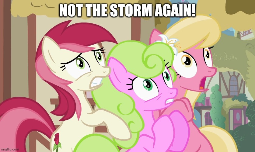 NOT THE STORM AGAIN! | made w/ Imgflip meme maker