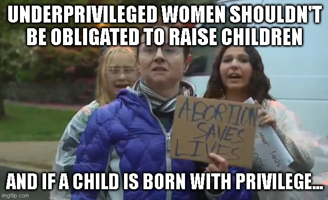a pro-abortion woman | UNDERPRIVILEGED WOMEN SHOULDN'T BE OBLIGATED TO RAISE CHILDREN; AND IF A CHILD IS BORN WITH PRIVILEGE... | image tagged in a pro-abortion woman | made w/ Imgflip meme maker