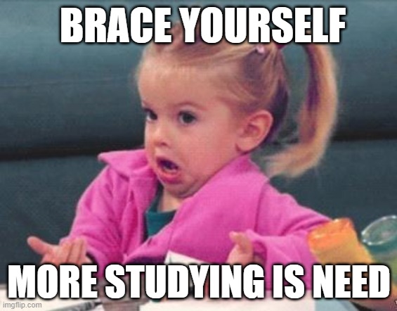 Girl cute | BRACE YOURSELF; MORE STUDYING IS NEED | image tagged in girl cute,studying | made w/ Imgflip meme maker