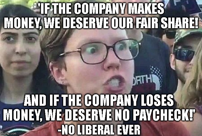 Triggered Liberal | 'IF THE COMPANY MAKES MONEY, WE DESERVE OUR FAIR SHARE! AND IF THE COMPANY LOSES MONEY, WE DESERVE NO PAYCHECK!'; -NO LIBERAL EVER | image tagged in triggered liberal | made w/ Imgflip meme maker