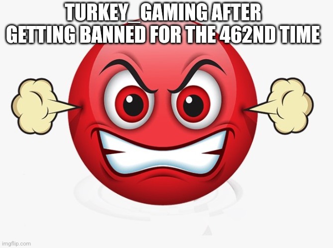 bros flabbergasted | TURKEY_GAMING AFTER GETTING BANNED FOR THE 462ND TIME | image tagged in angry emoji,angry,turkeygaming | made w/ Imgflip meme maker
