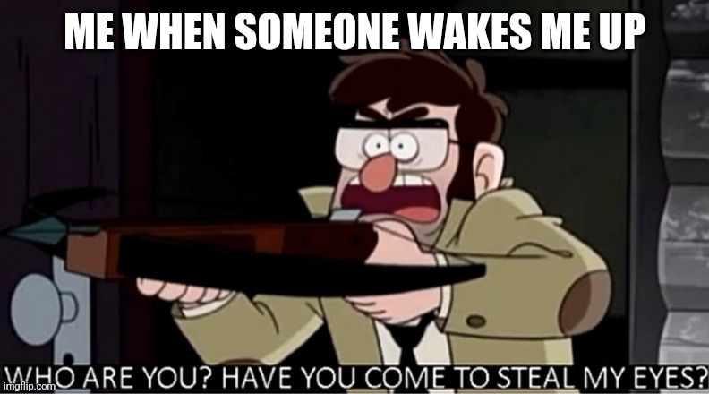 DONT STEAL MY DARN EYES | ME WHEN SOMEONE WAKES ME UP | image tagged in who are you have you come to steal my eyes,gravity falls,imgflip | made w/ Imgflip meme maker