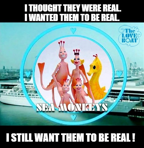 They made a Monkey out of me. | I THOUGHT THEY WERE REAL. I WANTED THEM TO BE REAL. I STILL WANT THEM TO BE REAL ! | image tagged in sea monkeys,funny,vintage,comic book | made w/ Imgflip meme maker