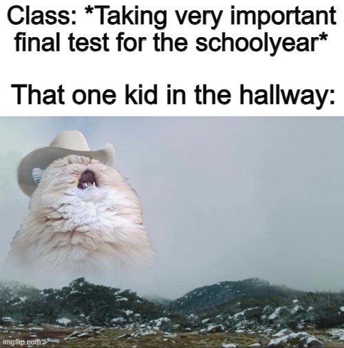 "AHHHHHHHHHHHHHHHHHHHHHHHHHHHHHHHHHHHHHHHHHHHH" | Class: *Taking very important final test for the schoolyear*; That one kid in the hallway: | image tagged in screaming cowboy cat | made w/ Imgflip meme maker
